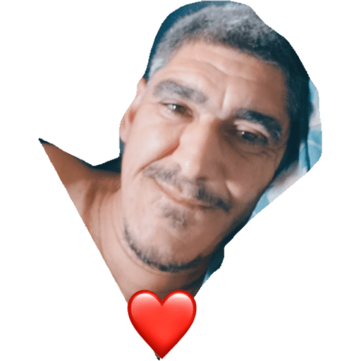 Ari 3