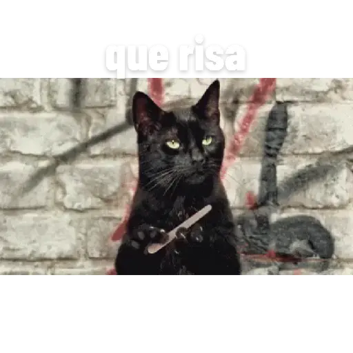 Animalitos 30