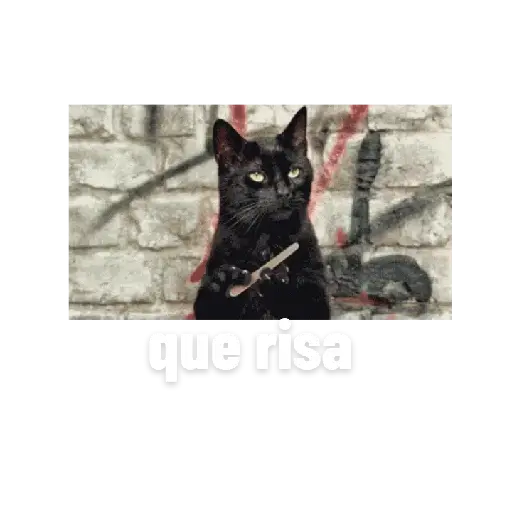 Animalitos 5