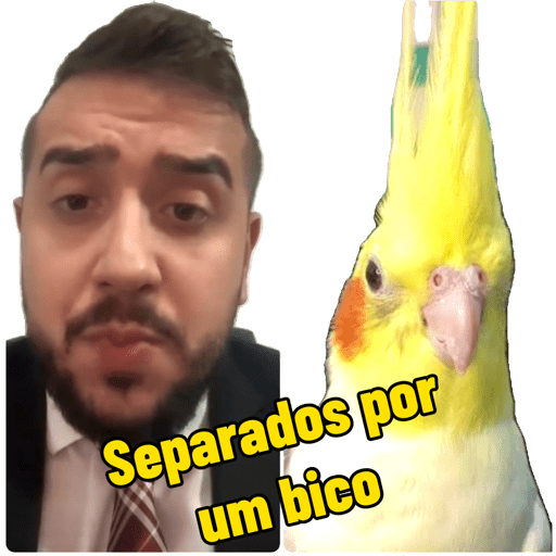 Minhas figurinhas 7