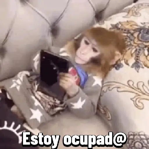 Monito  6
