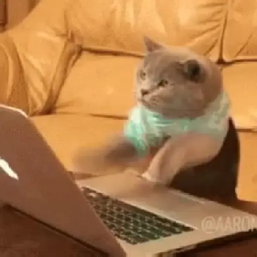 Random.com 20