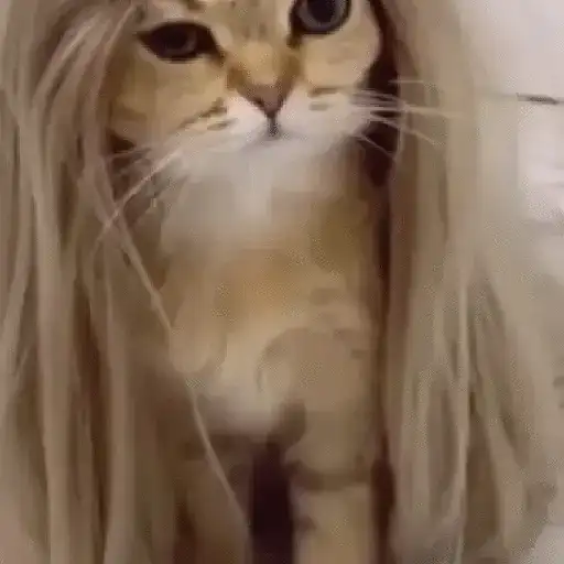 اسٹیکر