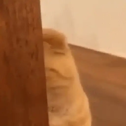 اسٹیکر