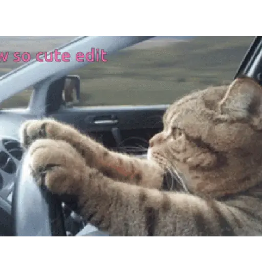 اسٹیکر