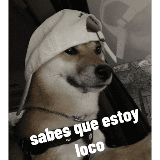 X somos chavos  10