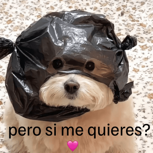 X somos chavos  19