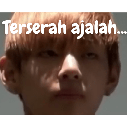 Aib bts lucu UwU 9
