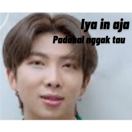 Aib bts lucu UwU 27