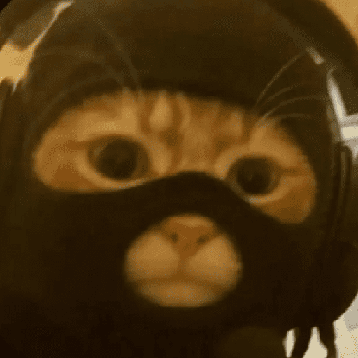 GATOS RANDOM - PARTE 37 7