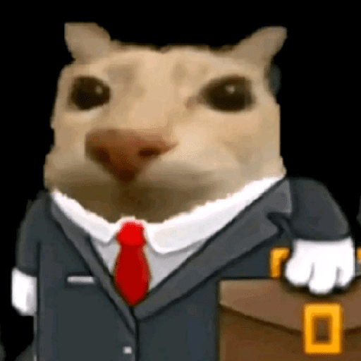 GATOS RANDOM - PARTE 37 11