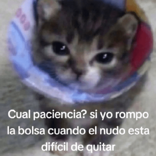 GATOS RANDOM - PARTE 37 29