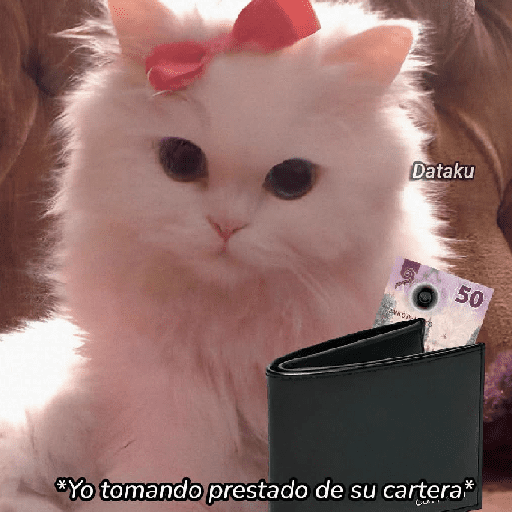 GATOS RANDOM - PARTE 37 15