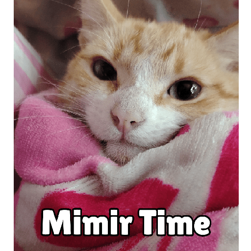 GATOS RANDOM - PARTE 37 4