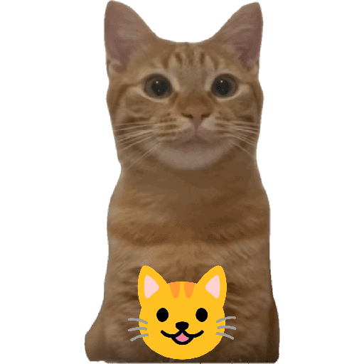 GATOS RANDOM - PARTE 37 9