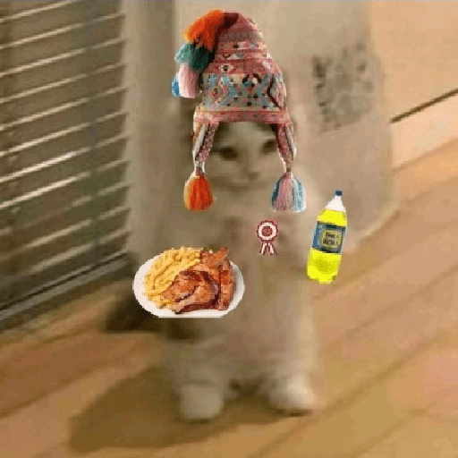 GATOS RANDOM - PARTE 37 10