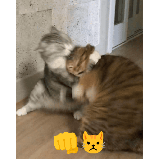 GATOS RANDOM - PARTE 37 27