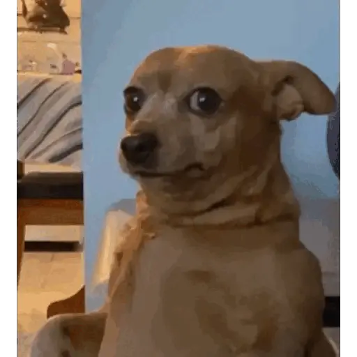 MEMES RANDOM PARTE 20 6