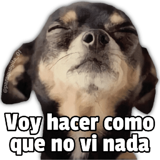 MEMES RANDOM PARTE 43 23