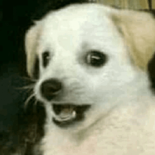 MEMES RANDOM PARTE 43 5