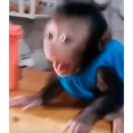 Mereketenge 10