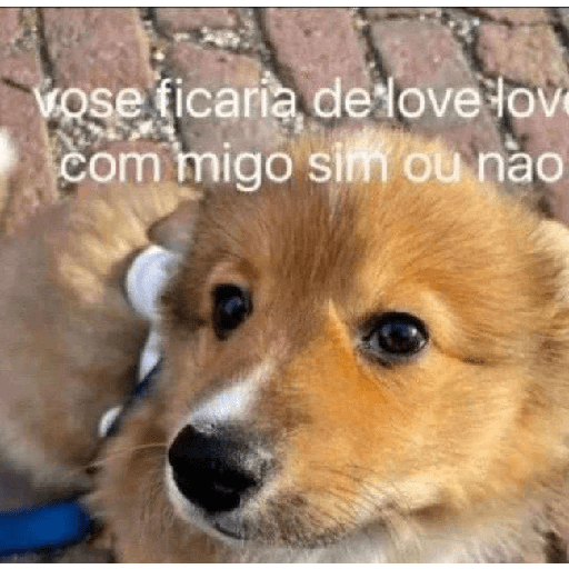 Hihihi 11