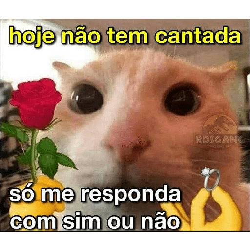 Hihihi 4