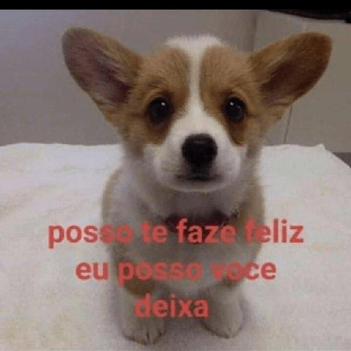 Hihihi 2