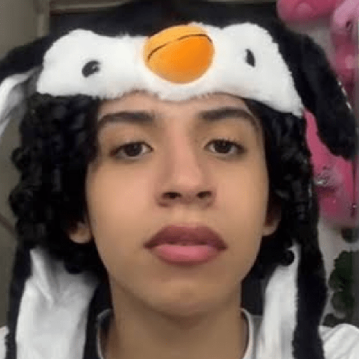 Valentino Palacios Tiktoker 4
