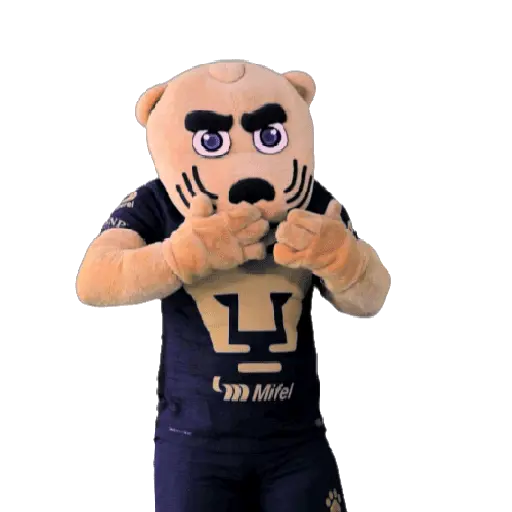 Pumas Fútbol ⚽️ ✅️ 