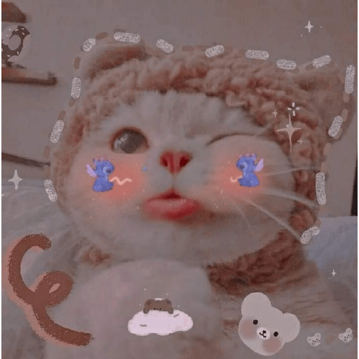 ❤️🐱 Amor Gatos Michis ❤️🐱