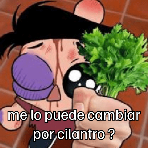 ¤▪︎ Chopper  Meme ▪︎¤