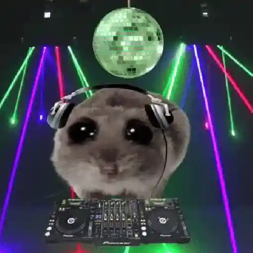 Hamster Meme 🐹🐹 2