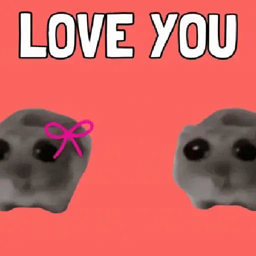 Hamster Meme 🐹🐹 7