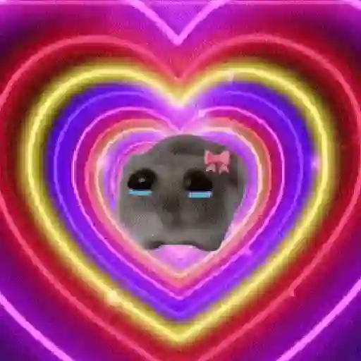 Hamster Meme 🐹🐹 10