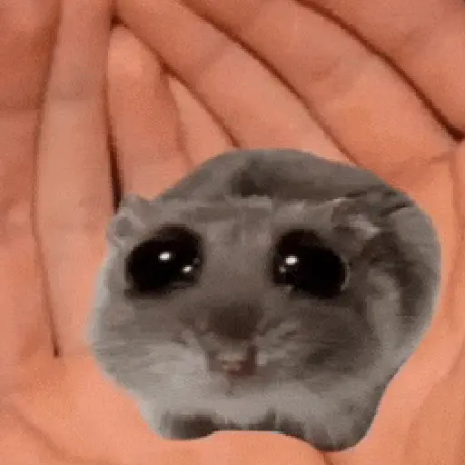 Hamster Meme 🐹🐹 11