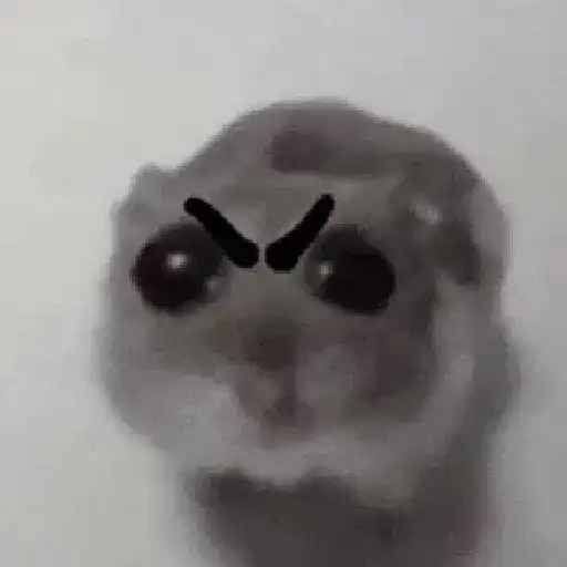 Hamster Meme 🐹🐹 13