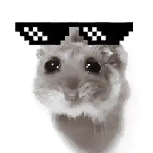 Hamster Meme 🐹🐹 14