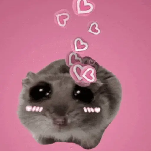 Hamster Meme 🐹🐹 16
