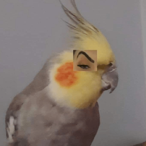 🦜 LoRoS 🦜
