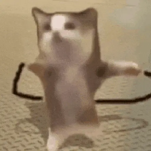 Memes Mov ● ⁴