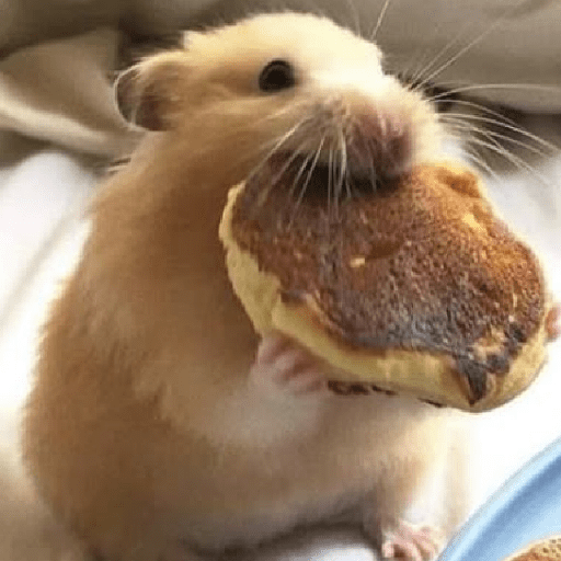 🐹🐹 Mood Hamster 🐹🐹