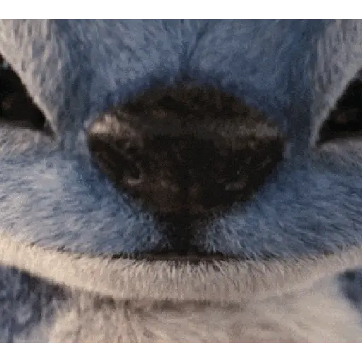 🌴🌾 Lilo & Stitch-Movie 🌾🌴 14