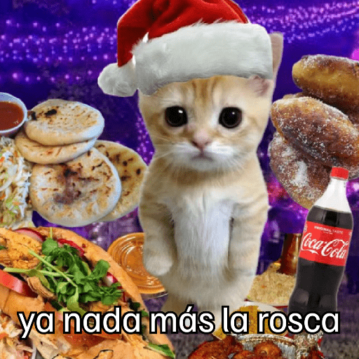 Animales Modo Navidad... 🎄🐐🐱🎄