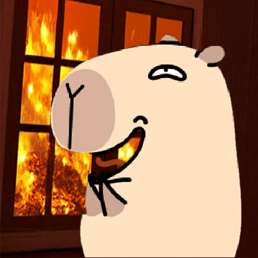 🦫 Capibara 🦫 14