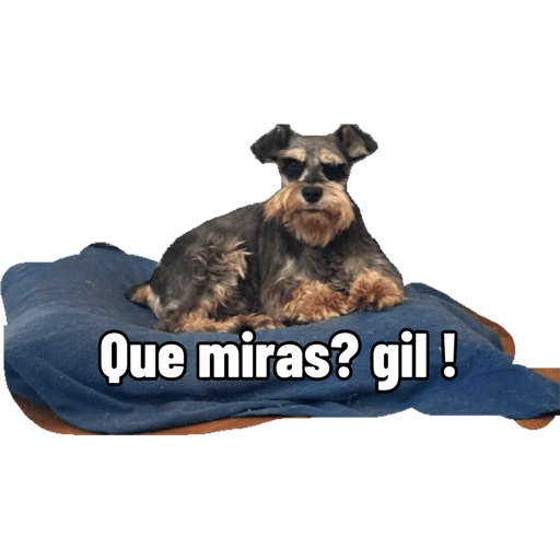 Mis pegatinas 18