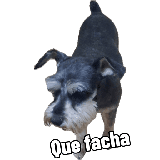 Mis pegatinas 20