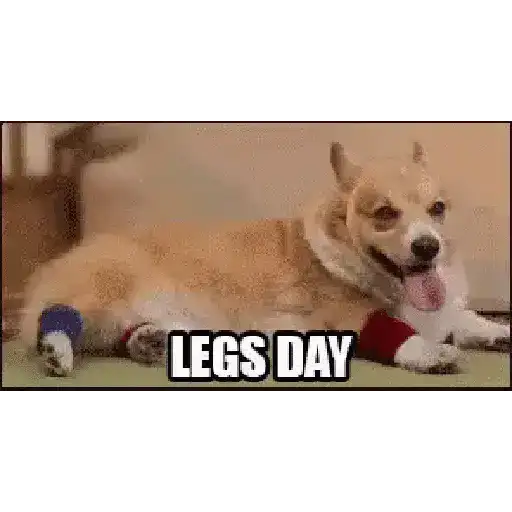 Fitness 3