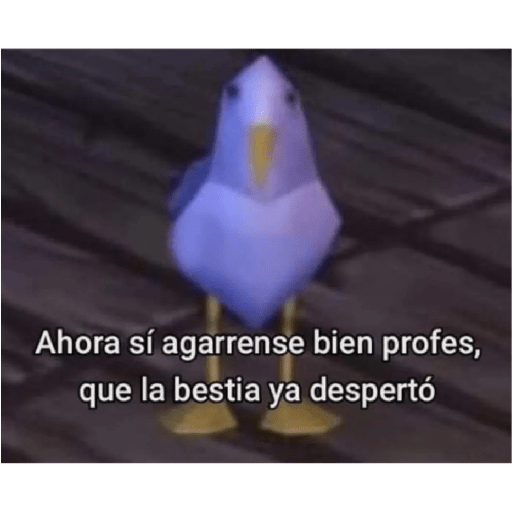 Agus.aguirre__ 5