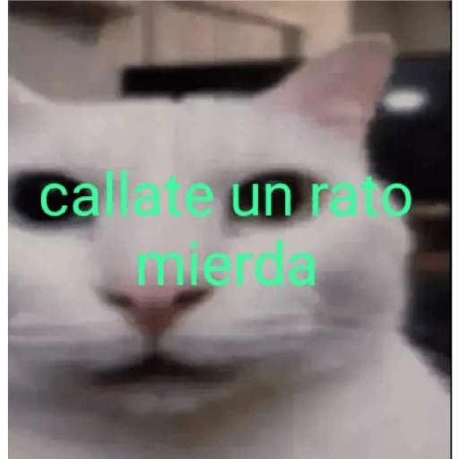 XDD 27